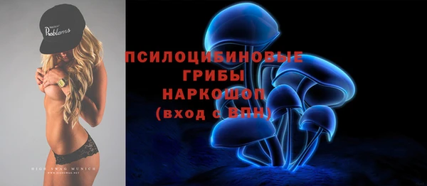 амф Абинск