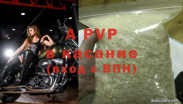 дживик Абаза