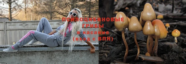 индика Алзамай
